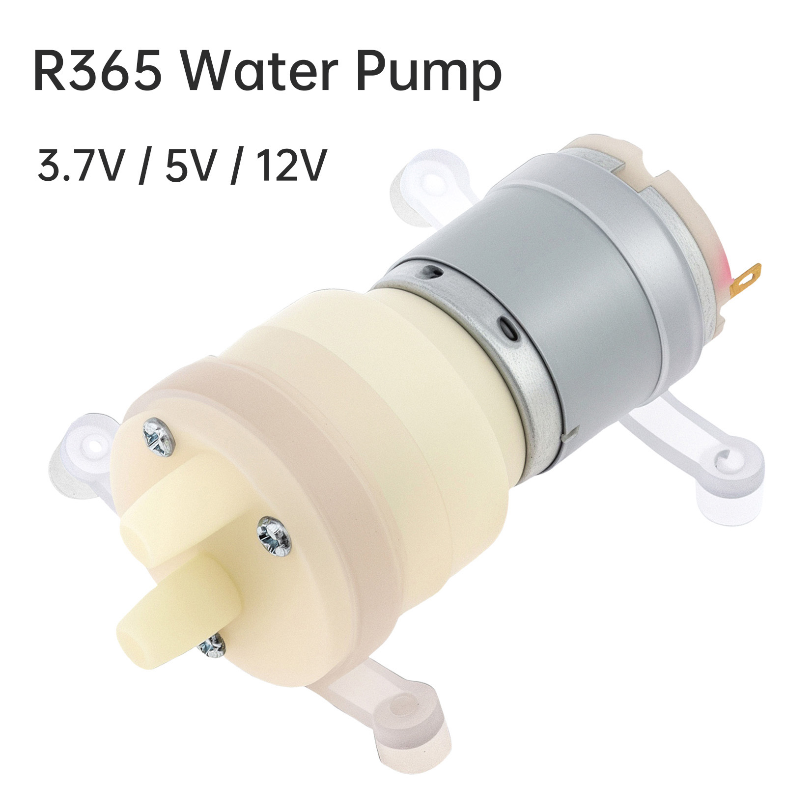R365 Micro Water Pump Motor DC - Mini Peristaltic Pump 12V ulasan dan harga