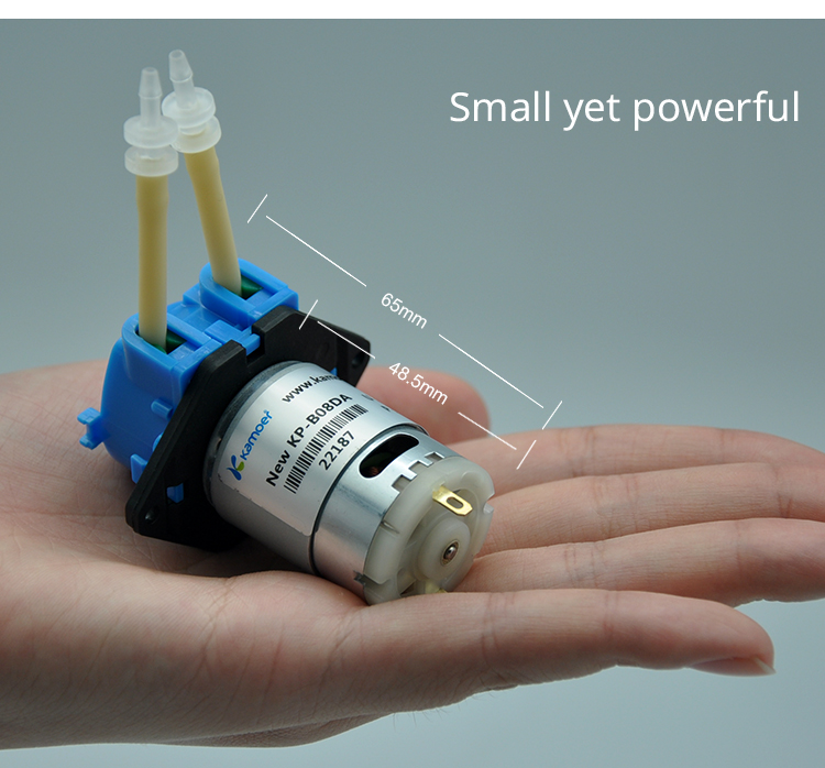 2026 new NKP 6V 12V 24V DC mot - Mini Peristaltic Pump 12V ulasan dan harga