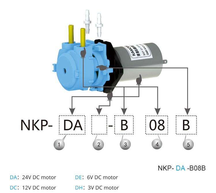 2026 new NKP 6V 12V 24V DC mot - Mini Peristaltic Pump 12V ulasan dan harga