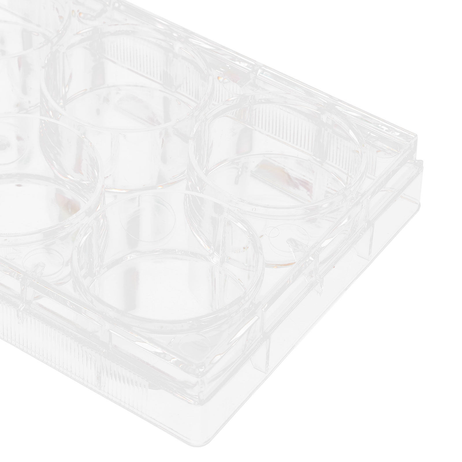Tissue Culture Plate Lab Durab - Lab Equipment ulasan dan harga