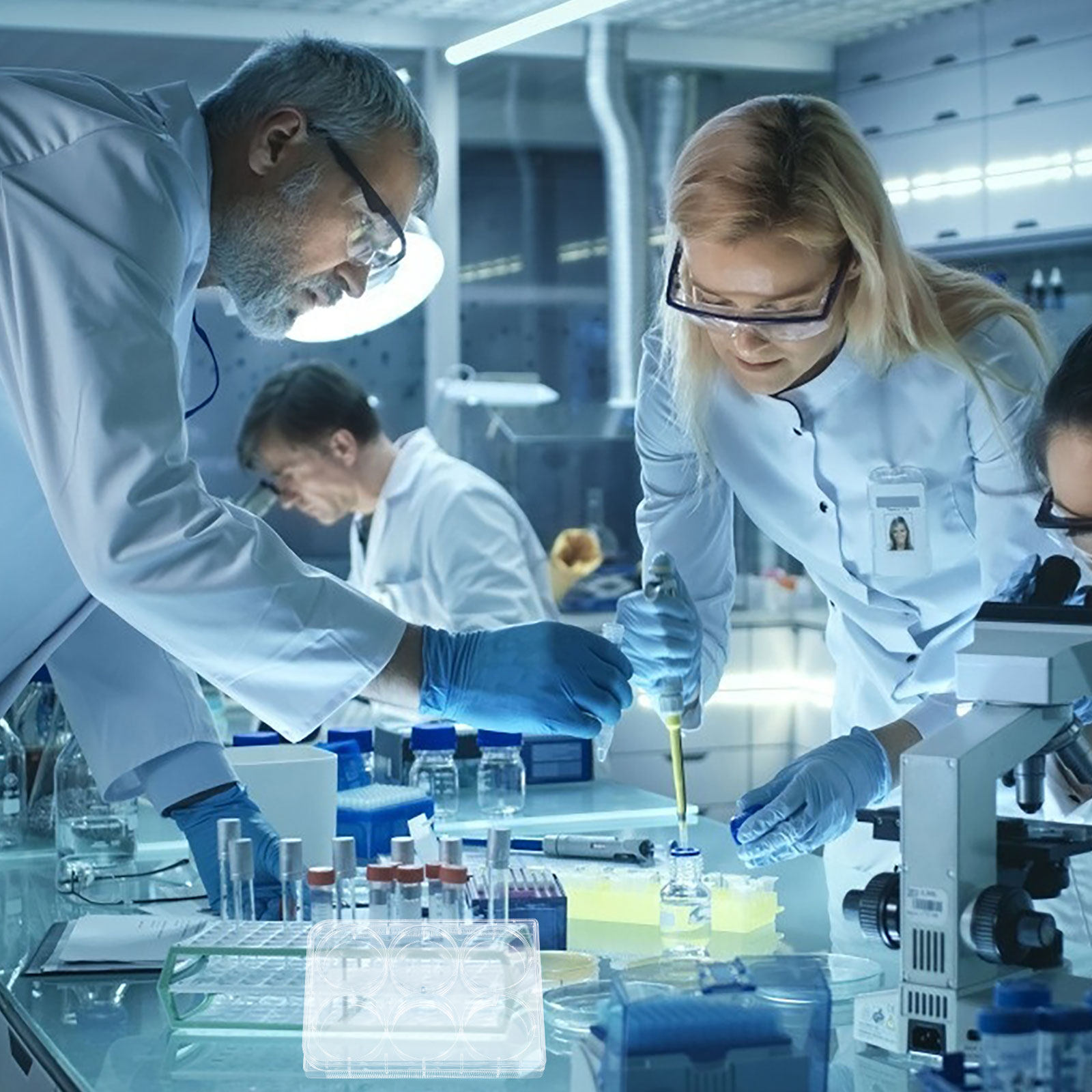 Tissue Culture Plate Lab Durab - Lab Equipment ulasan dan harga